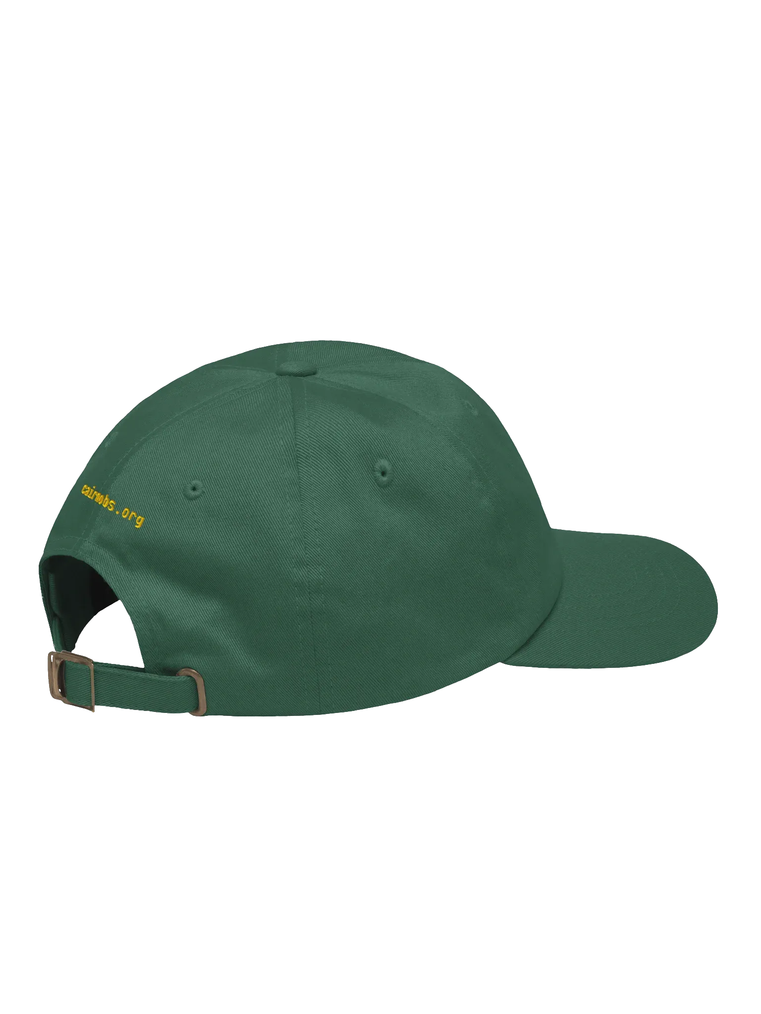 Cairn OBS Dad Hat, Spruce, photo 4 of 6