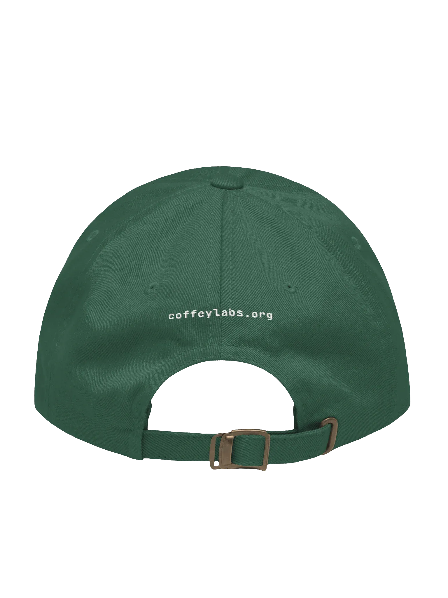 Coffey Labs Dad Hat, Spruce, photo 2 of 6
