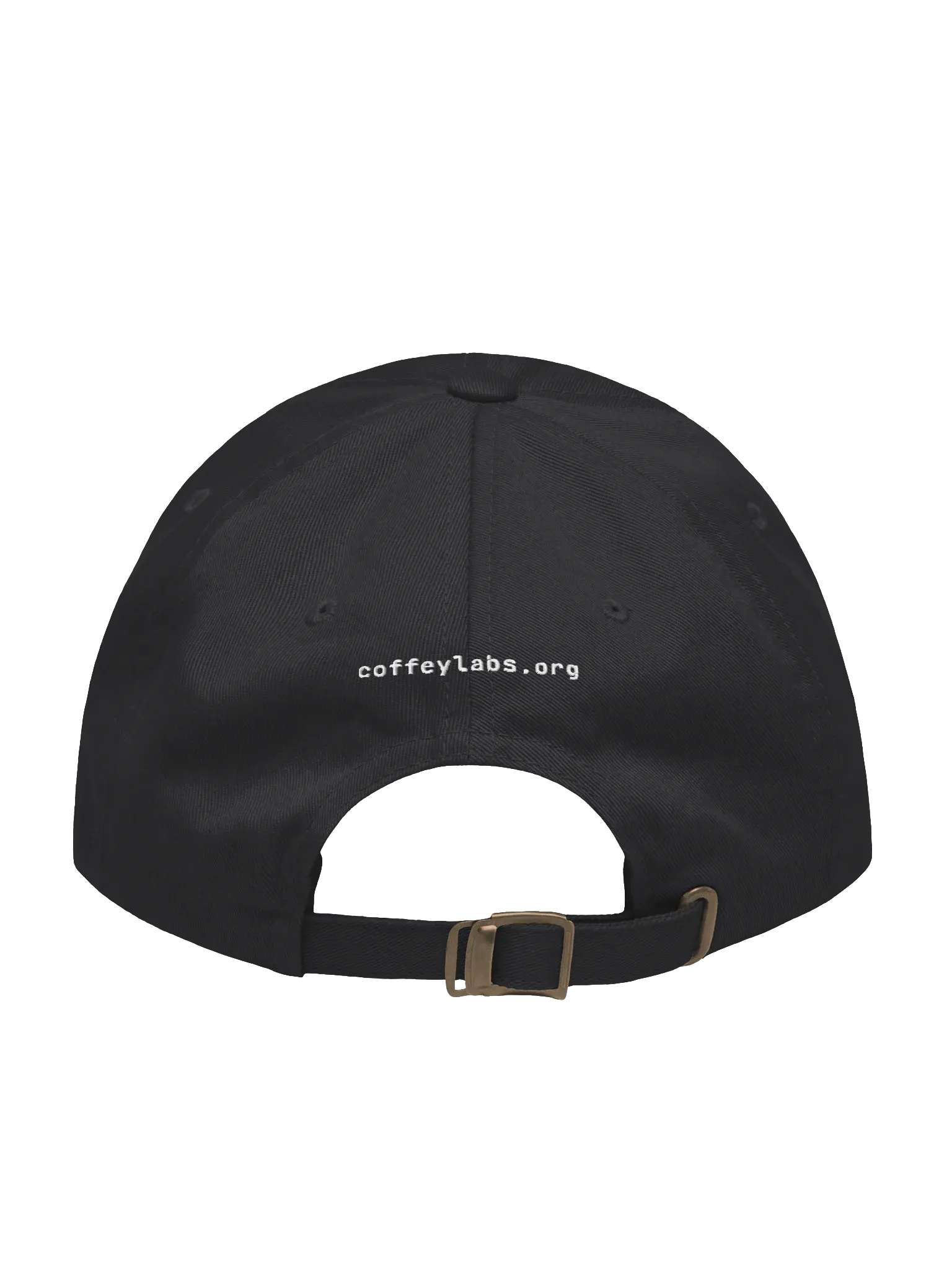 Coffey Labs Dad Hat, Black, photo 2 of 6
