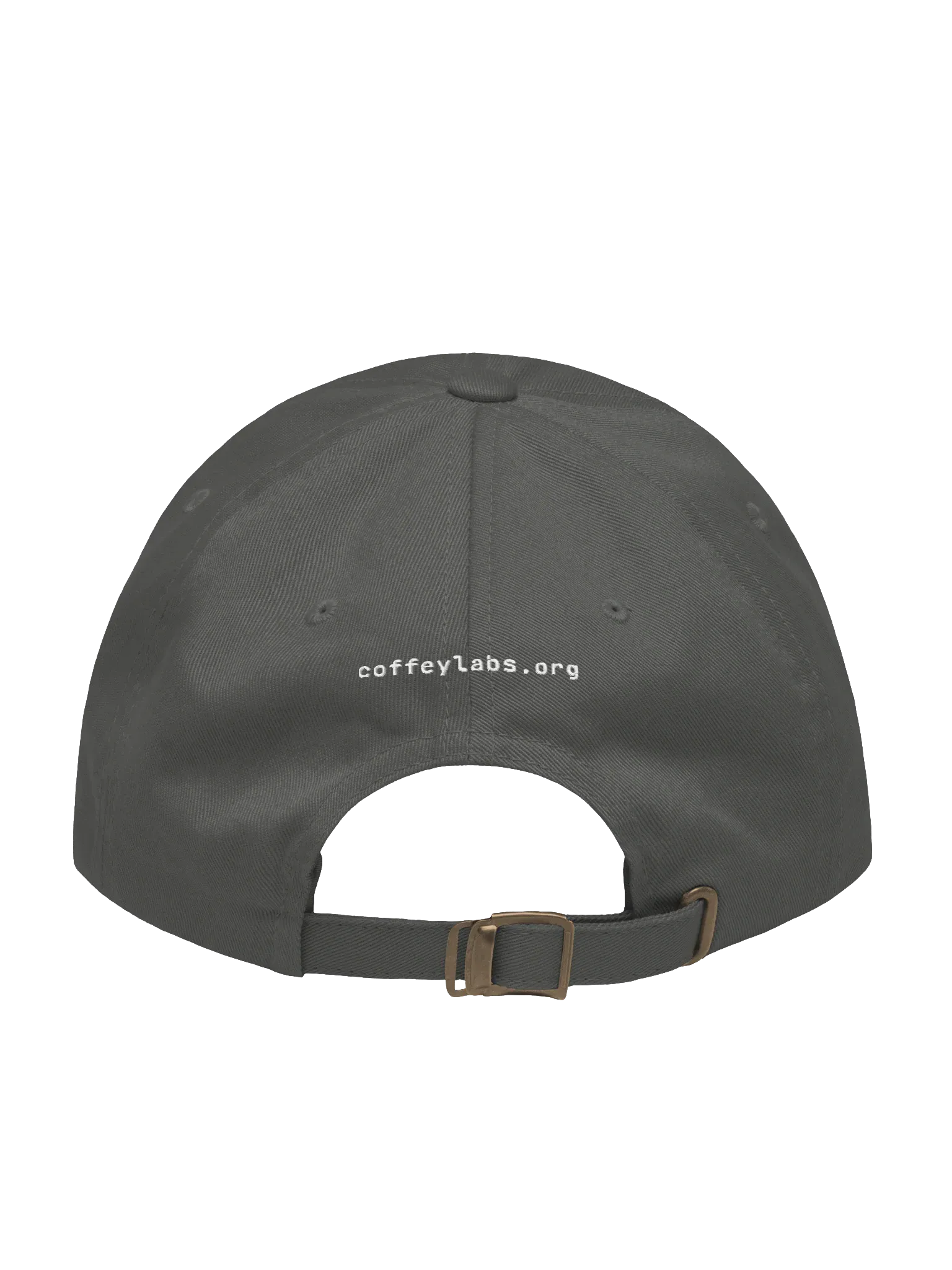 Coffey Labs Dad Hat, Dark Grey, photo 2 of 6