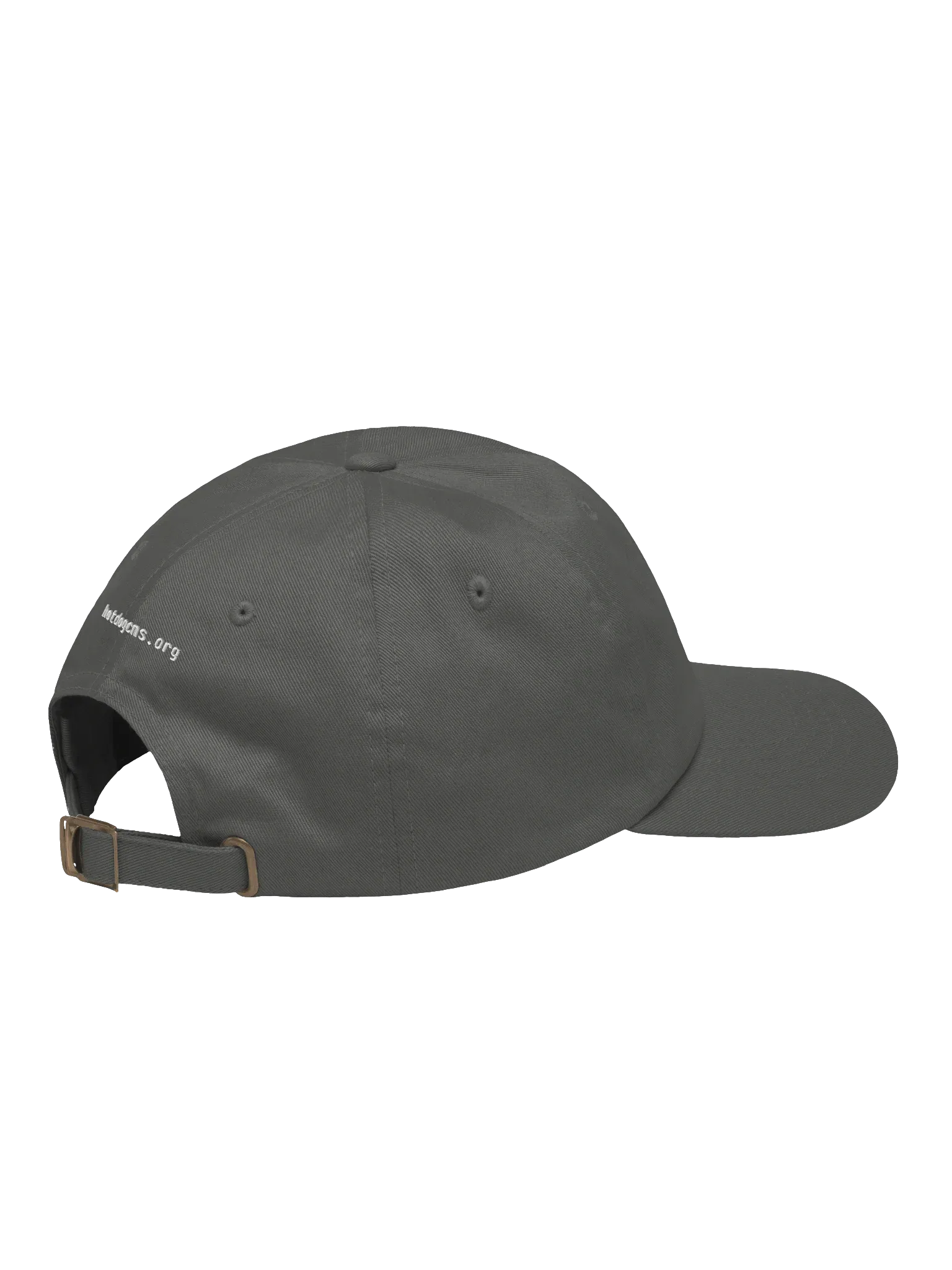 HotDog CMS Dad Hat, Dark Grey, photo 4 of 6